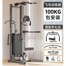 康斯特龙门架100KG一机多用全身训练